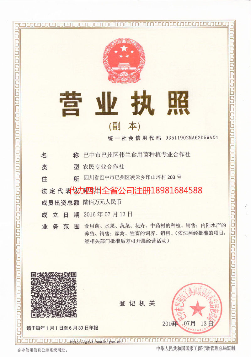 永城永城伟兰食用菌种植专业合作社